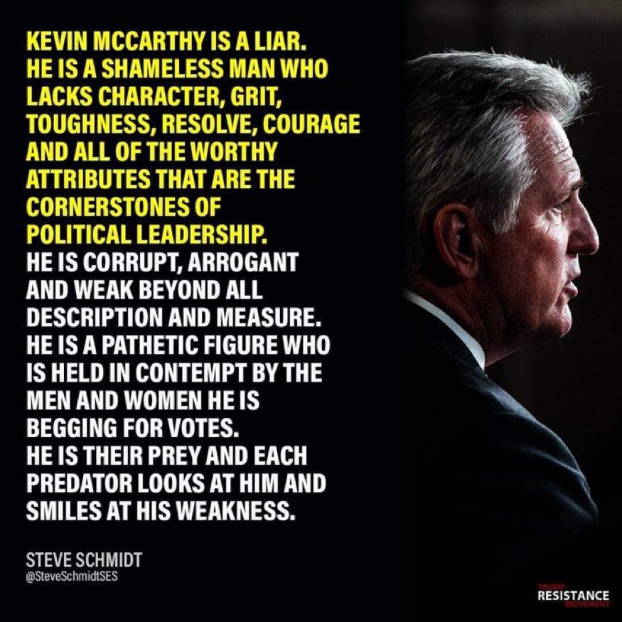 Itsbippy's tweet image. All true. #KevinMcCarthyIsALoser