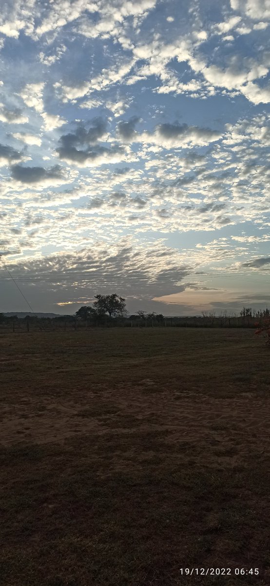 🐾🌹Ramón David🪐🚀🏀 tweet media