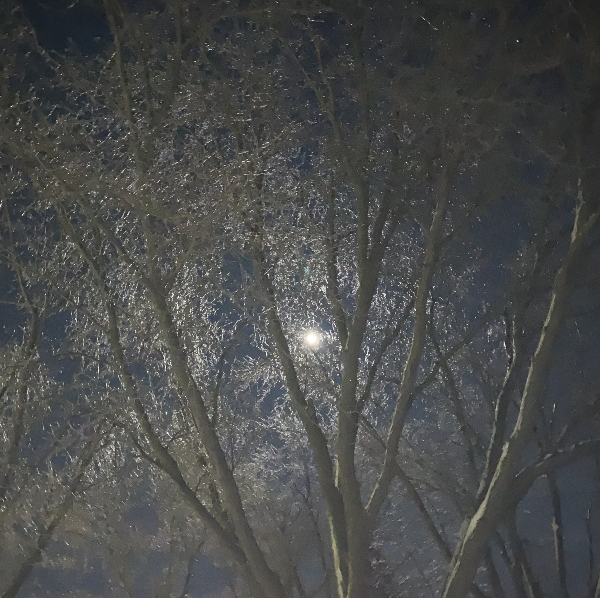 Fairmont MN Weather (FairmontMN_Wx) / Twitter