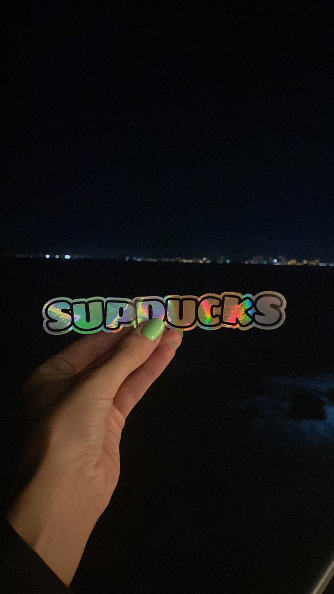 RachelWolchin's tweet image. where I go, @RealSupDucks @frankynines go ✨#defaultsettings