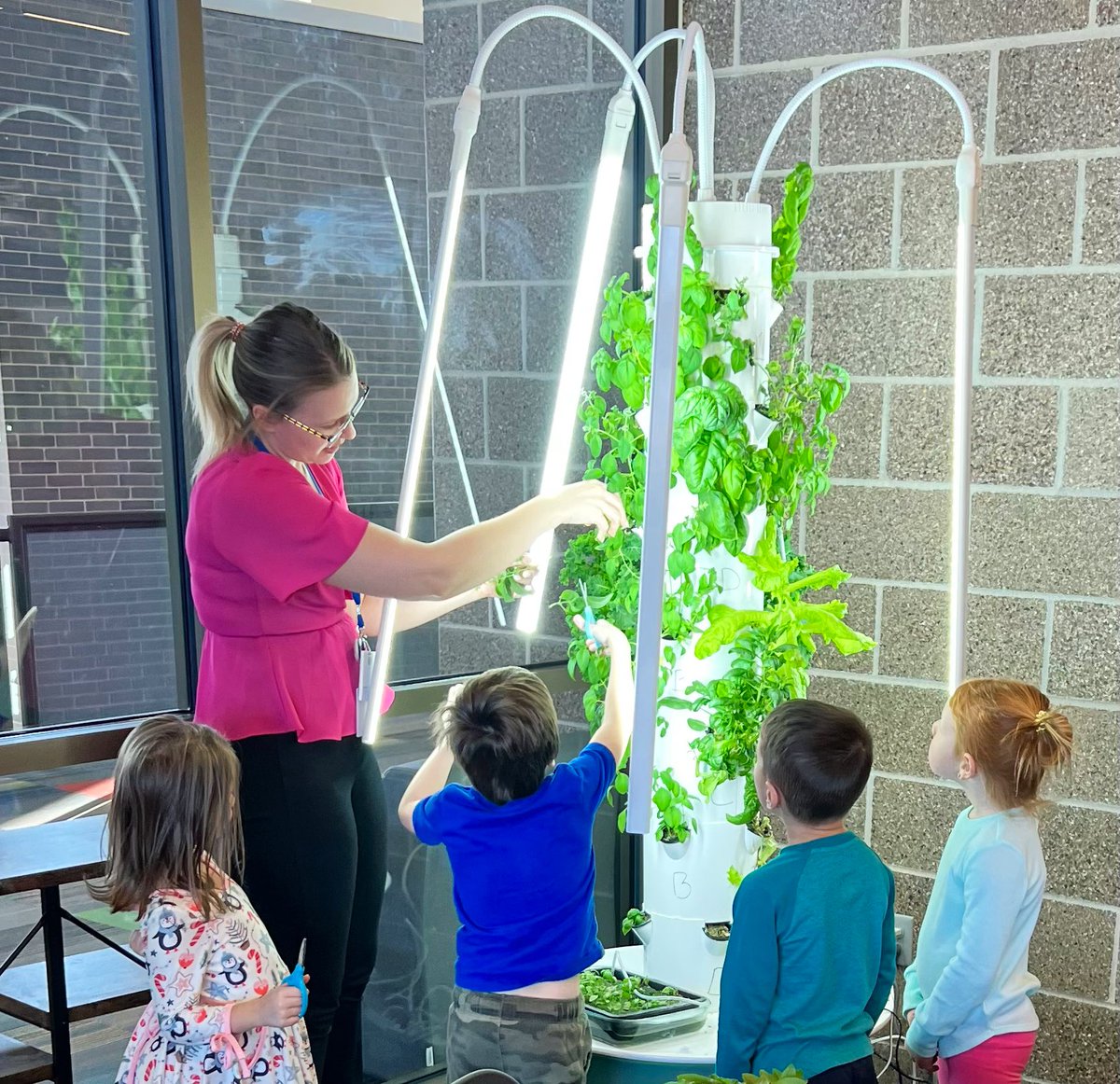 Ms. Vining and kindergarteners harvest their basil plants 🌱 They love the <a href="/juiceplus/">Juice Plus</a> <a href="/TowerGarden/">Tower Garden</a>!