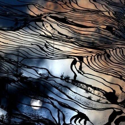 ViVi Tong tweet media