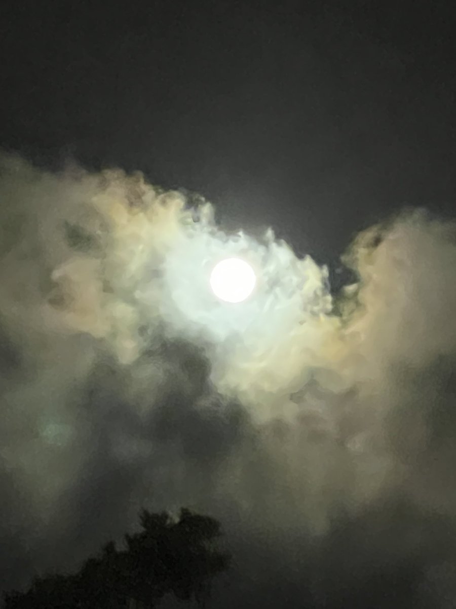 Luna Lunera…Luna Vallera 😍en medio de las nubes, mecida por la brisa de Enero. Me mira, la miro, me acaricia y le agradezco el beso de luz que me hace ser partícipe de la belleza de la obra del Creador. La foto con celular obviamente no le hace justicia!