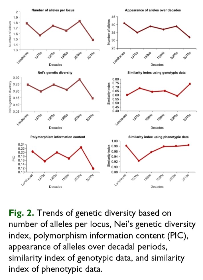 Seems we are loosing some of the key alleles for important genes. So this our model to protect the same in rice breeding.