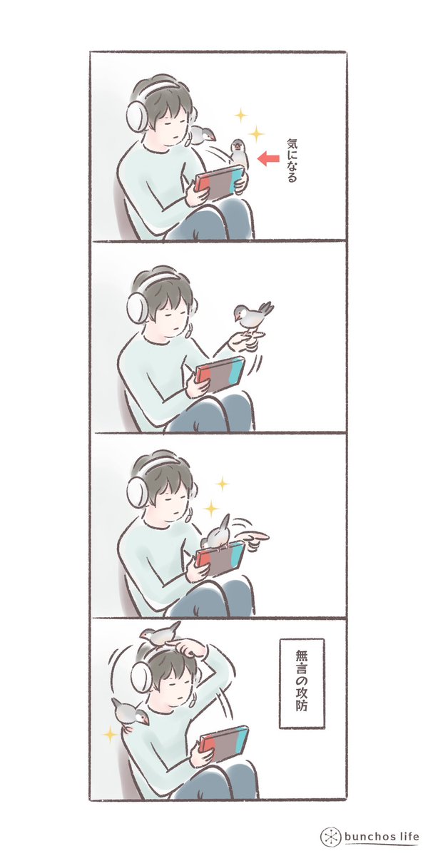 ゲーム機にまとわりつく2号と抵抗する子の無言の攻防
#文鳥 
#bunchoslife 
#4コマ漫画 