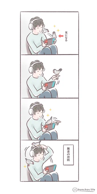 ゲーム機にまとわりつく2号と抵抗する子の無言の攻防
#文鳥 
#bunchoslife 
#4コマ漫画 