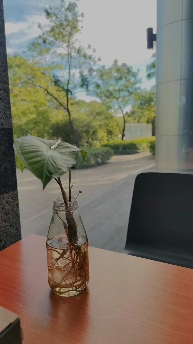 view_wow's tweet photo. มุมทำงานวันนี้​ ☘️🍃 https://t.co/OltEMhDmcZ