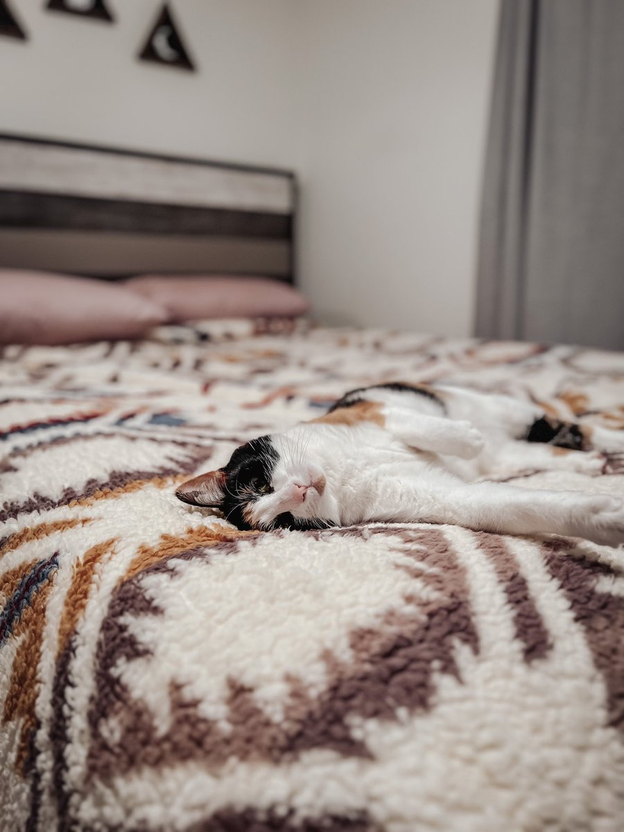 jesscuzzz's tweet photo. @CrumblCookies Now this is sweet. https://t.co/wrvrU9nX86