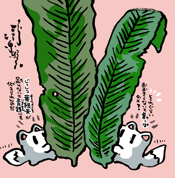 #妖界東西新聞 【実質葉銭】https://t.co/A72o0oShqe 