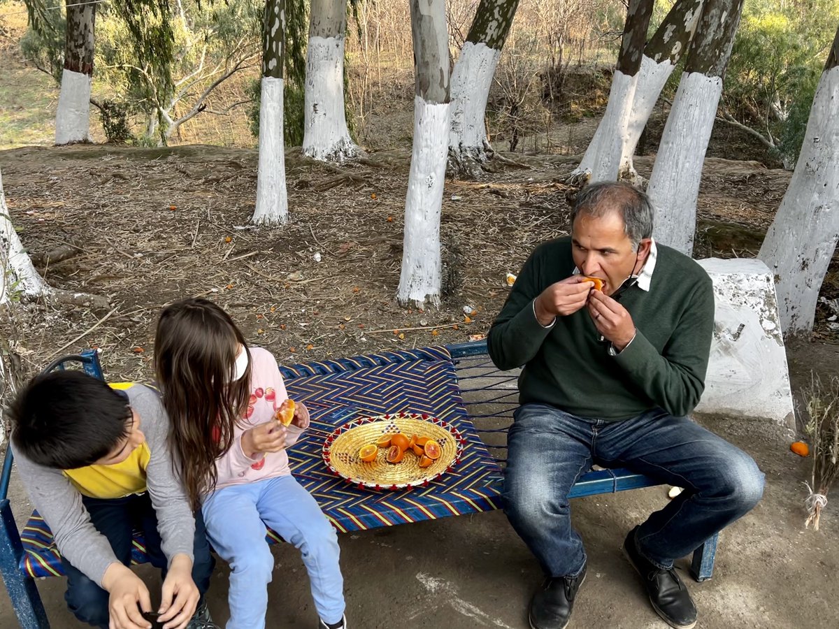 awaicekhan's tweet photo. Sitting on roadside #Charpoy in Khanpur &amp; enjoying #Kinnows (red blood oranges) with my kids at this time of last year was an incredible experience! https://t.co/kgP9N0Xcap