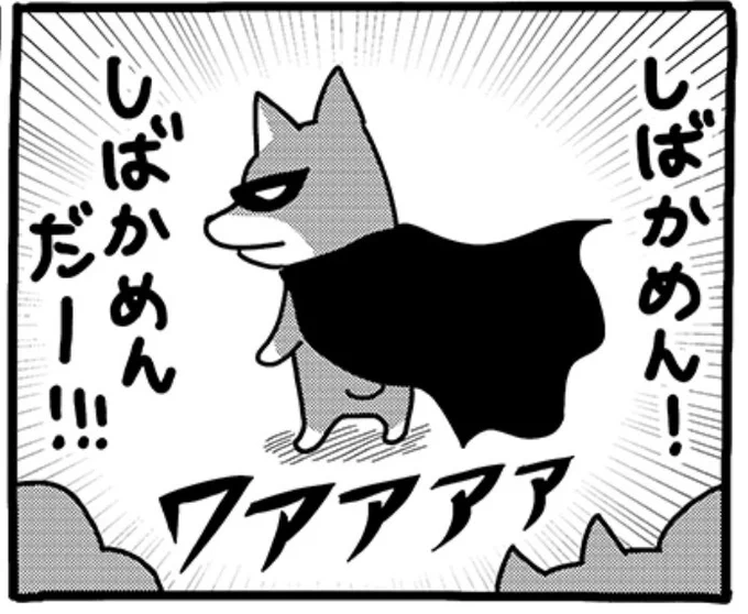 souffleの連載『貼りまわれ!こいぬ』第136話「こいぬと初詣」が本日掲載されました。
こちらの連載は毎週金曜午前11時更新です。
https://t.co/OhNEVzhL8z 