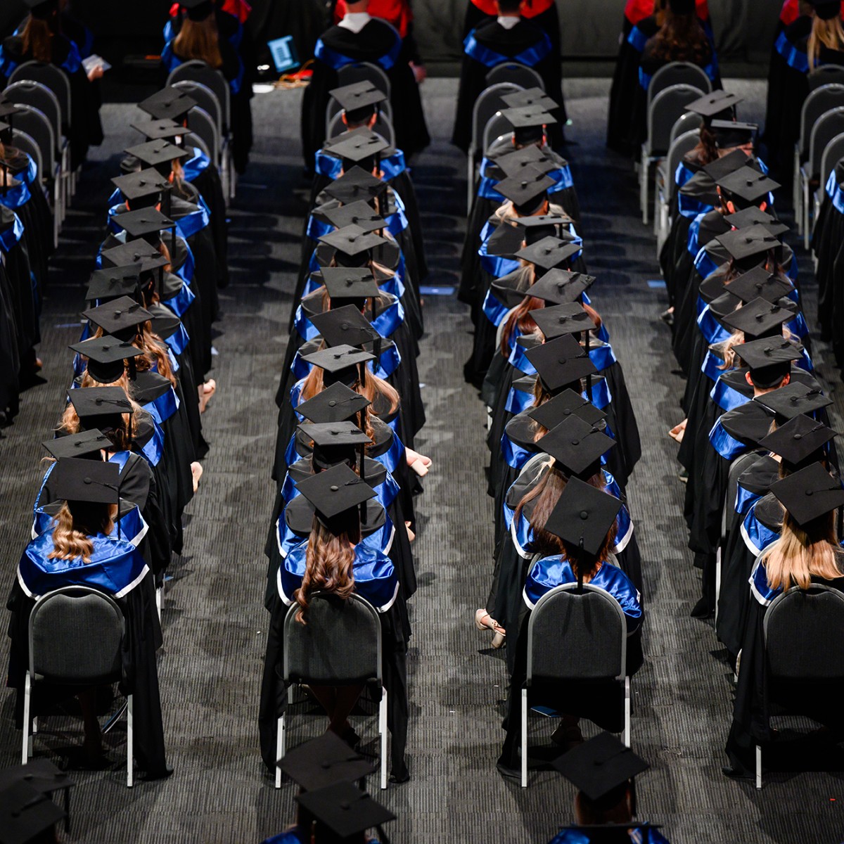 QUT's tweet photo. It's a blue ocean of #QUTGrad 🌊 https://t.co/QLYKtrKGFw