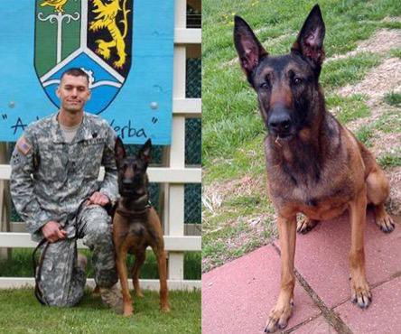 Please help me honor Army Staff Sgt. James R. Ide, 32 of MO and K9 SFC Daphne. Killed Aug. 29, 2010 in E. Afghanistan. Rest easy heroes 🇺🇸