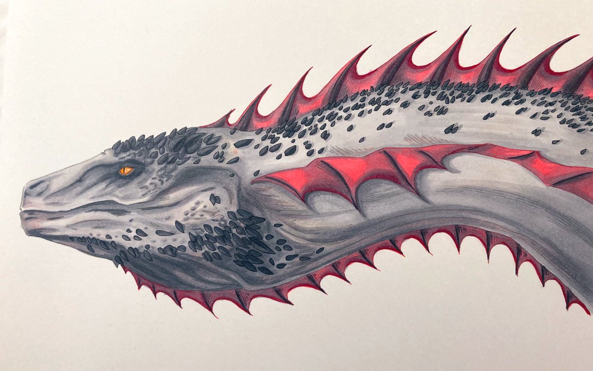 CoffeeNihilism's tweet photo. My favorite soft worm boi #arrax #HouseOfTheDragon #LucerysVelaryon https://t.co/t4RDPRt589