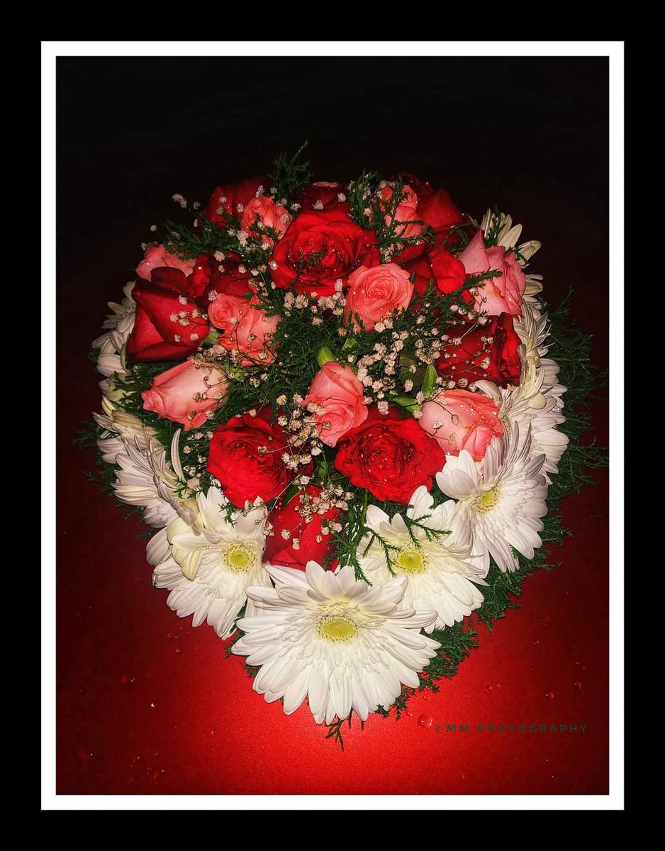 Monisha_Mohan94's tweet image. Live simply bloom wildly ✨️

#mmphotography #mobilephotography #redminote5pro #flowers #bouquet #colors #weddingbouquet #roses #nightshot #cardecoretions
