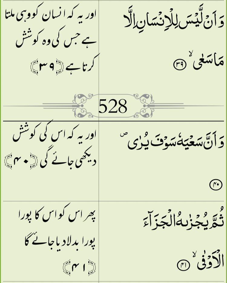 Ummmairr 🐼 tweet media