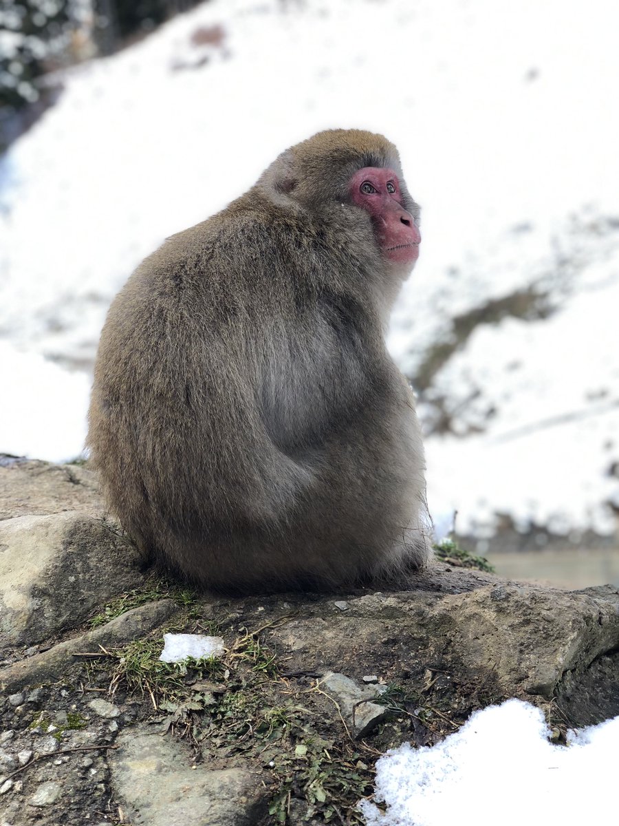 Hell Valley(地獄谷) 