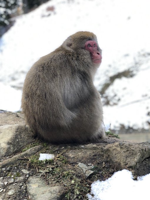 Hell Valley(地獄谷) 