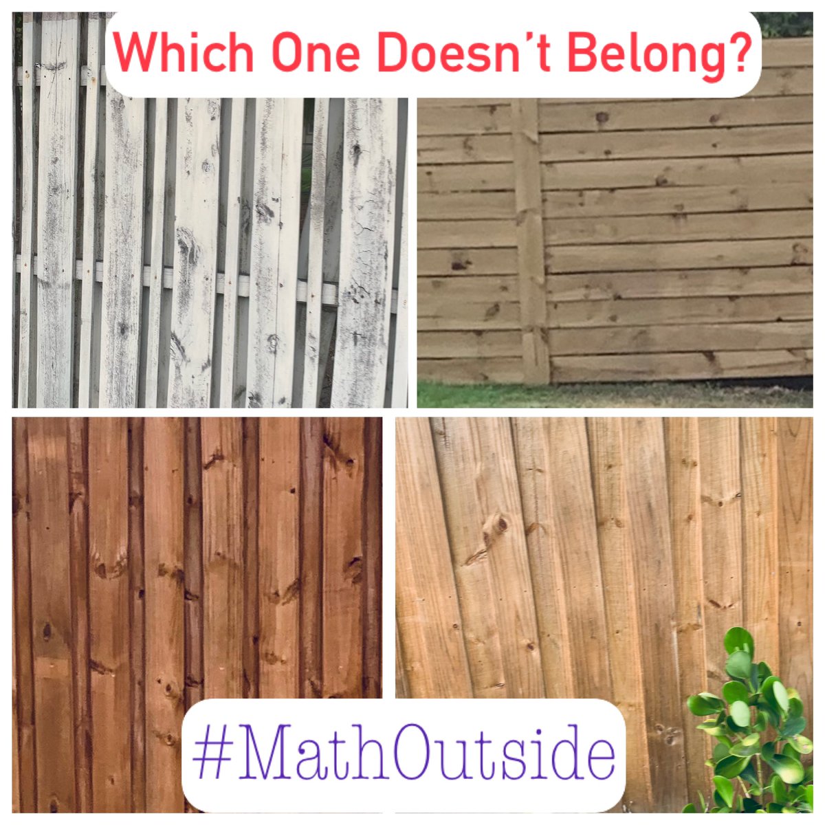 ChristineLPercy's tweet image. #MathOutside and food #elemmathchat