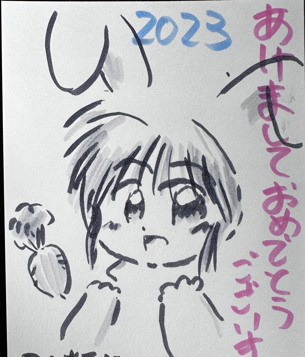 年賀状は出さないって言ってたけど、お返事は書かないとね。
プリンター壊れたので7〜8枚同じ絵を描いた(ばらつきが激しい…下書きなんてするわけがないしw) 