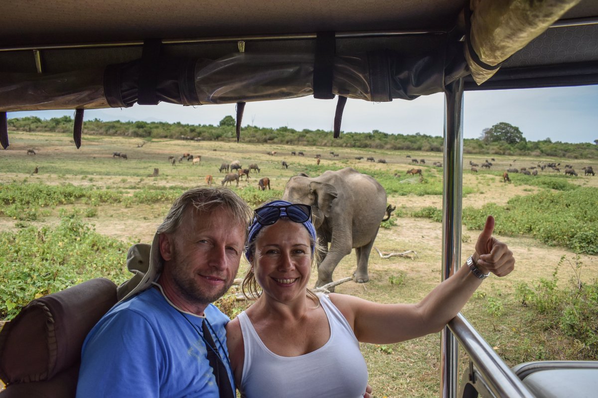 TMirissa's tweet photo. See the world's most majestic creatures up close and personal at Udawalawe National Park. Udawalawe National Park is one of Sri Lanka's best safari destinations for elephant watching. If you're interested in visiting Sri Lanka, explore with Tours Mirissa ! https://t.co/f4B5NbvkPO