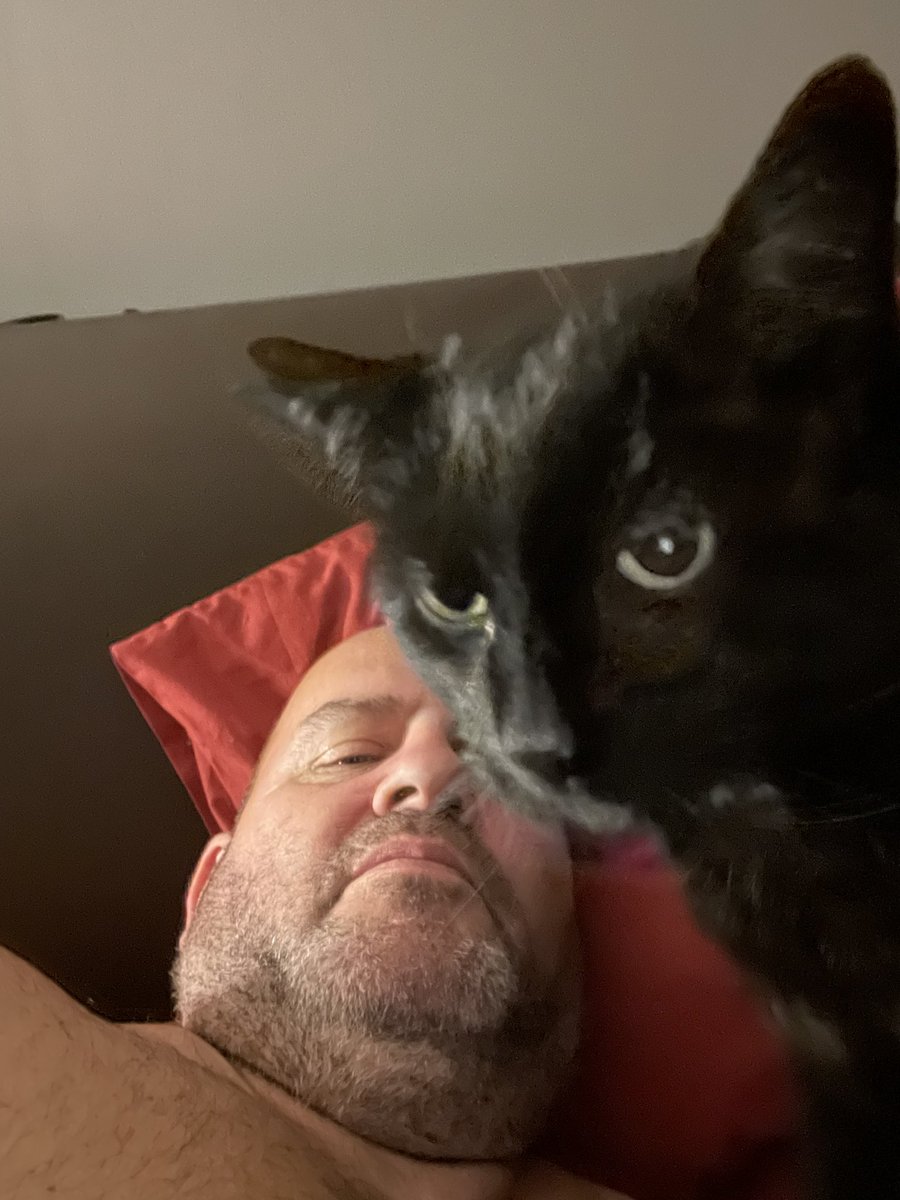 catbutlerdanny's tweet image. Good morning everyone 👋 Love, hugs and purrs to you all 🤍🖤🧡