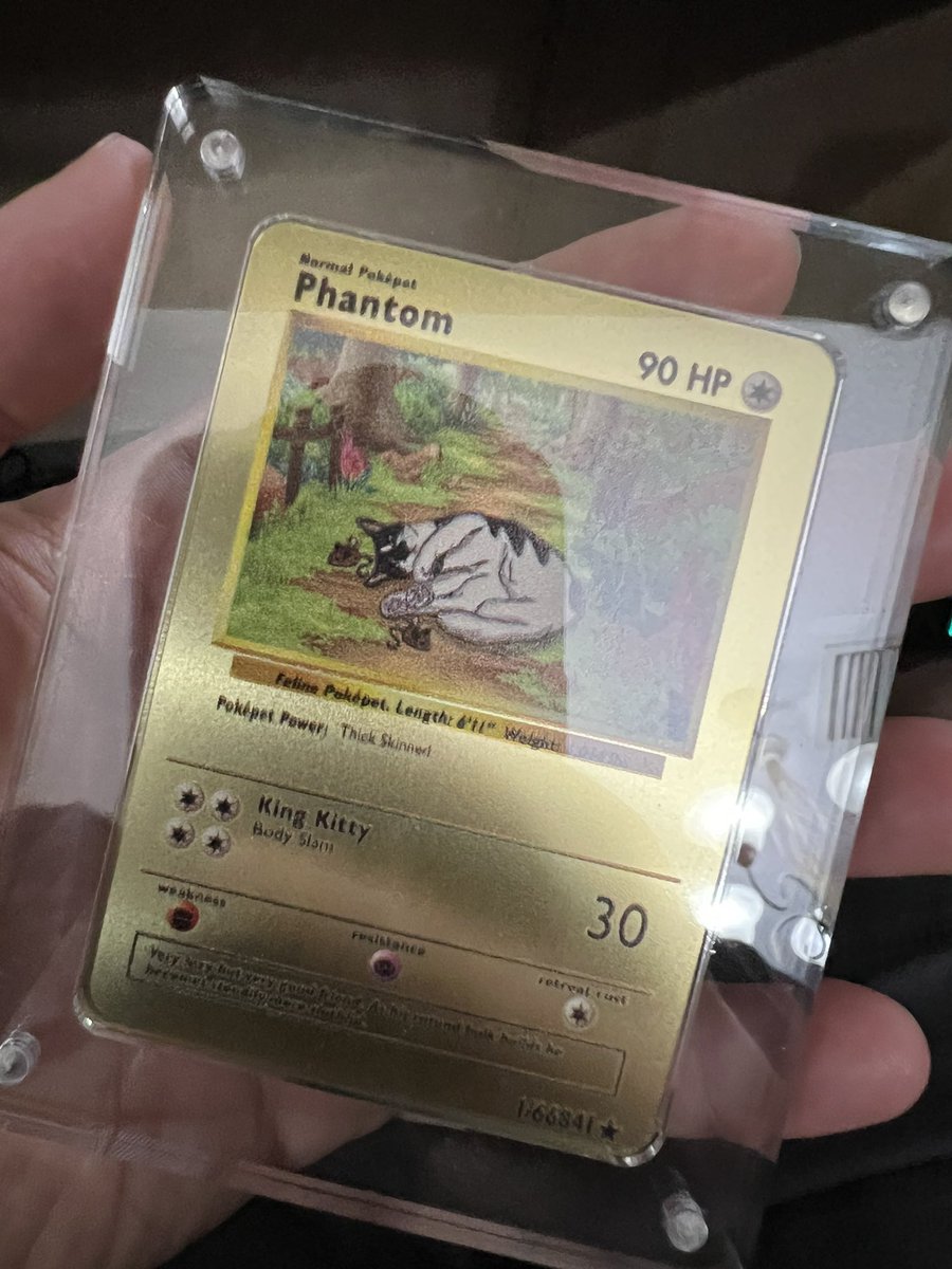 andwfara1's tweet photo. Best card in my collection #PhantomNation #pokepet
Thank you @Ravemom0526 I love it 🥰 #aaf https://t.co/vc2O3WDnyK