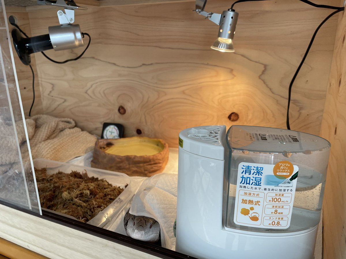 乾燥すごいから加湿器入れてみる