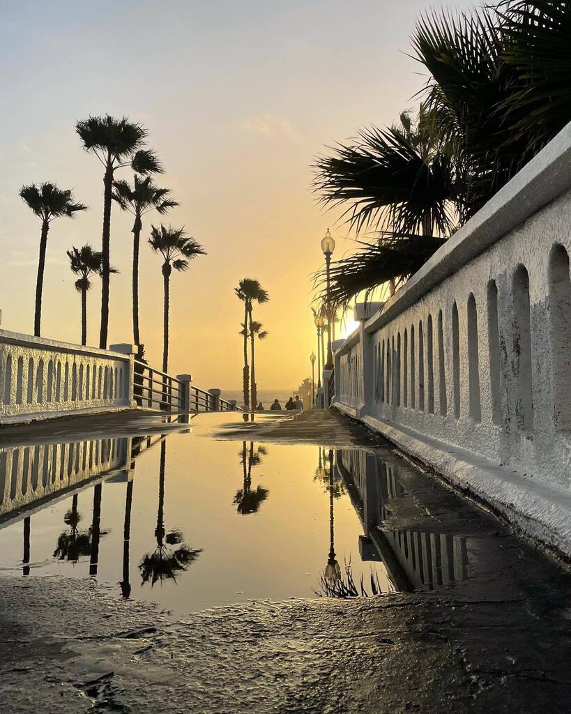 We got a little rain today…. Did you?? ☔️ 
#rainydayinsandiego 
.
.
#sandiego #rain #oceanside #oside #oceansidepier #mysdphoto #california #californiadreaming #palmtrees #hugapalmtree #reflections #reflection #reflectionphotography #puddles #rainyda… instagr.am/p/CnDuaSyLO6R/