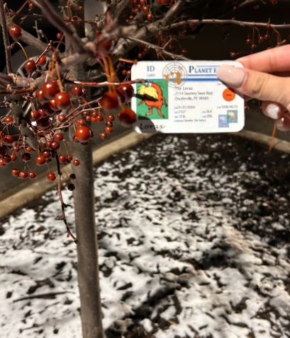 Natalie Santiago (@natalies721) on Twitter photo We live in WISCONSIN! Wisconsin is known to be a temperate seasonal forest biome, meaning that we have each of the 4 seasons. Right now we are in the cold winter season! In our biome, we also have a variety of tree species like this one here ;) #apeseco <a href="/franklinlorax/">APES Project Lorax</a> We live in WISCONSIN! Wisconsin is known to be a temperate seasonal forest biome, meaning that we have each of the 4 seasons. Right now we are in the cold winter season! In our biome, we also have a variety of tree species like this one here ;) #apeseco <a href="/franklinlorax/">APES Project Lorax</a>