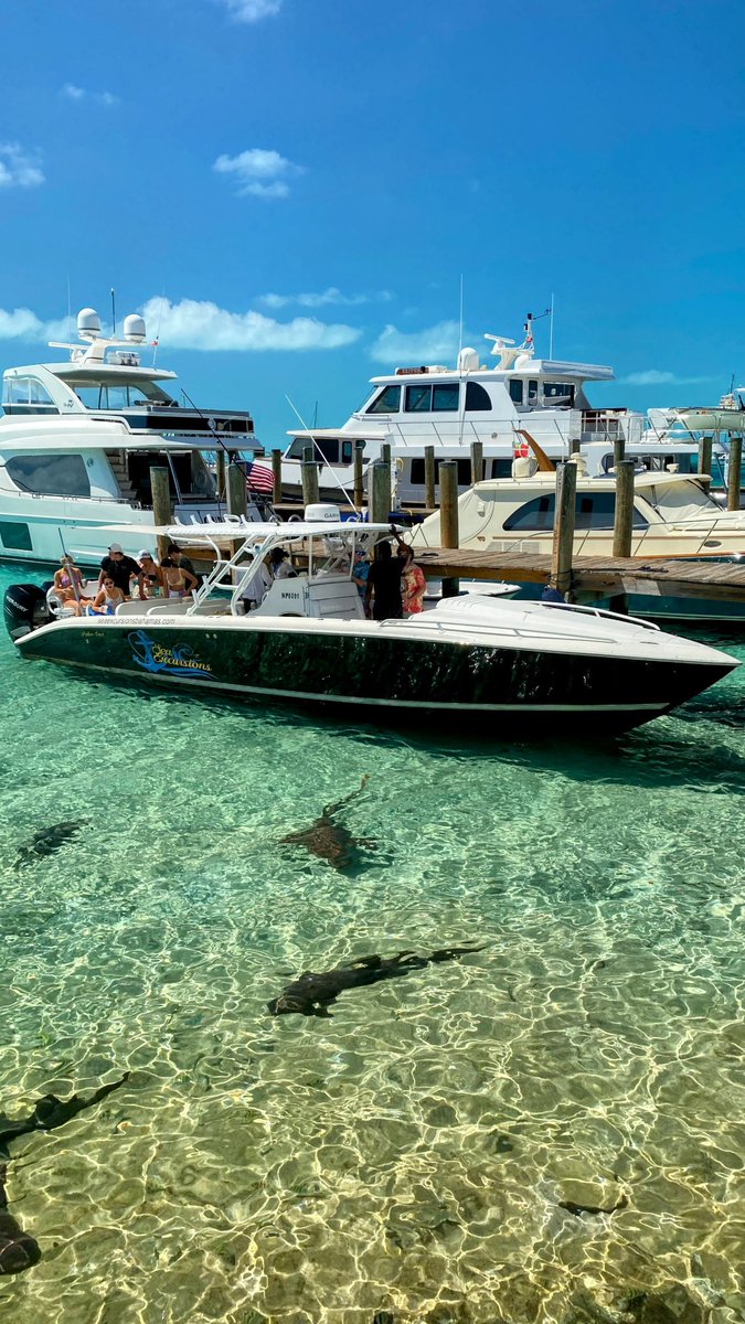 DanielPiraino's tweet photo. #StanielCay #Bahamas 🇧🇸🇧🇸 https://t.co/DDcJ3lFGg9