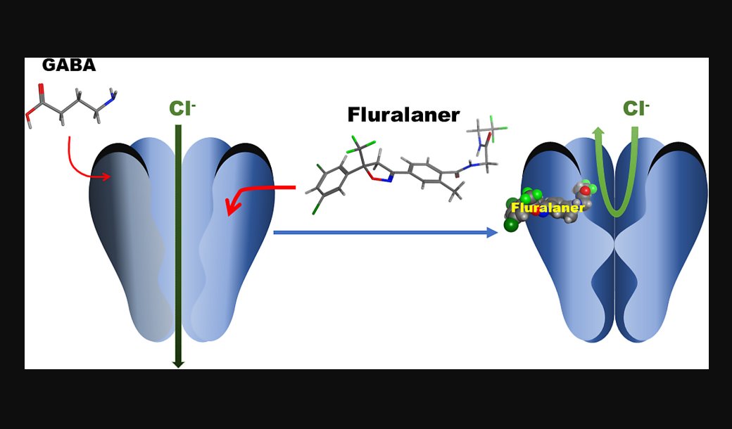 Brenda (@pegderivatives) on Twitter photo Fluaraner (INN) is a systemic insecticide and acaricide, which effectively blocks GABA and L-glutamate chloride channels.
Huateng supply Fluralaner(864731-61-3) in commercial scale at the most competitive price.
brenda@huatengusa.com
#fluralaner #bravecto #insecticide Fluaraner (INN) is a systemic insecticide and acaricide, which effectively blocks GABA and L-glutamate chloride channels.
Huateng supply Fluralaner(864731-61-3) in commercial scale at the most competitive price.
brenda@huatengusa.com
#fluralaner #bravecto #insecticide