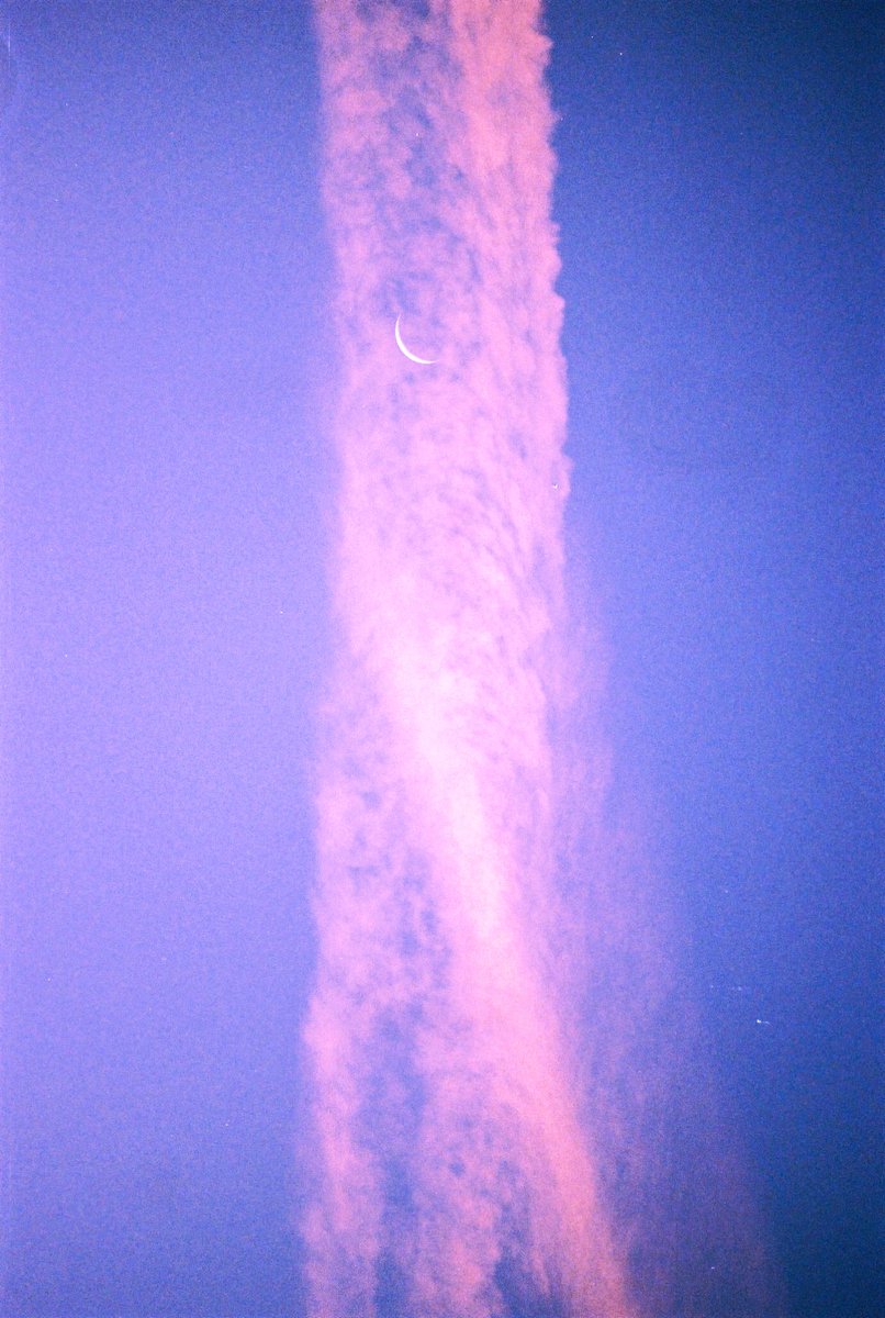 kali eir 𓈌 evertender tweet media