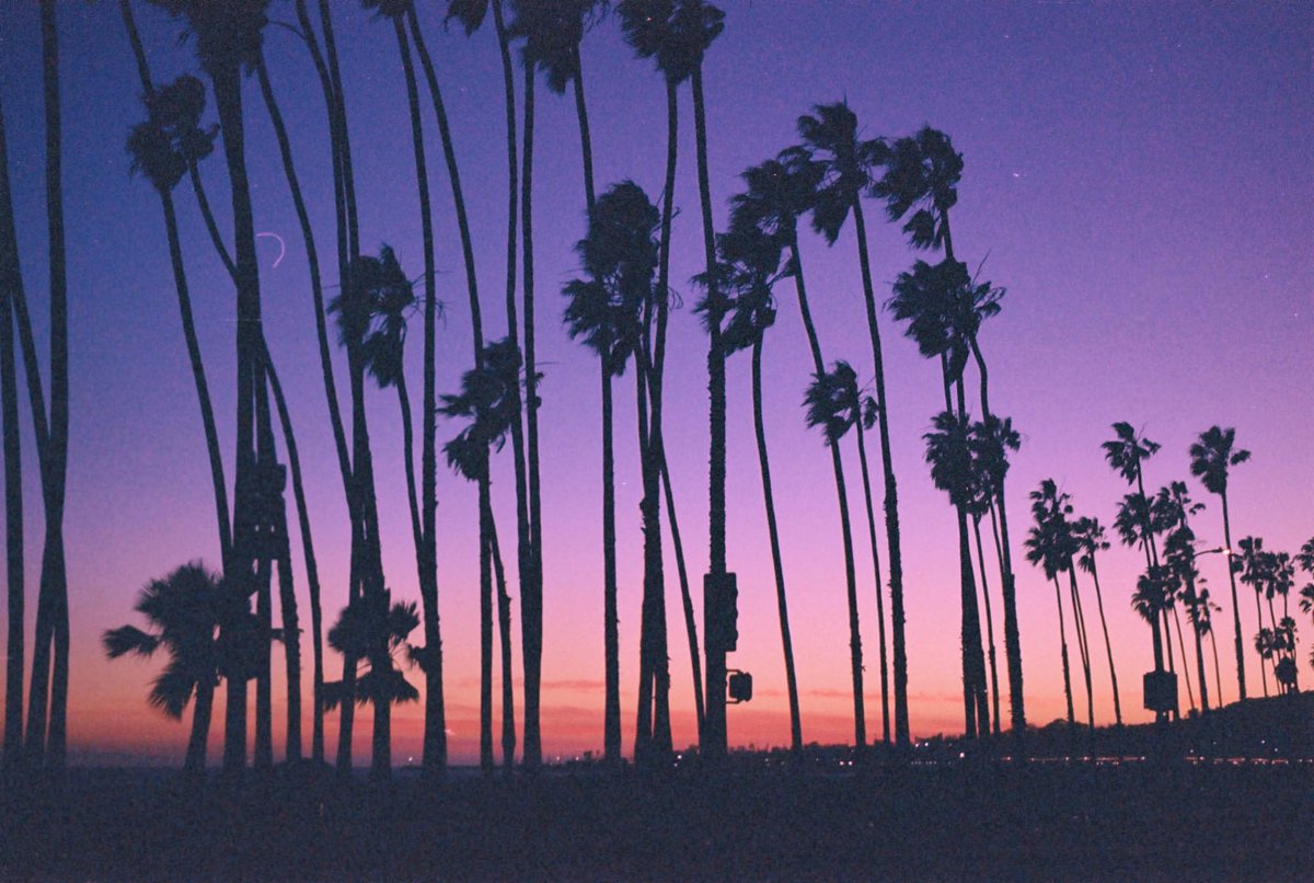 kali eir 𓈌 evertender tweet media