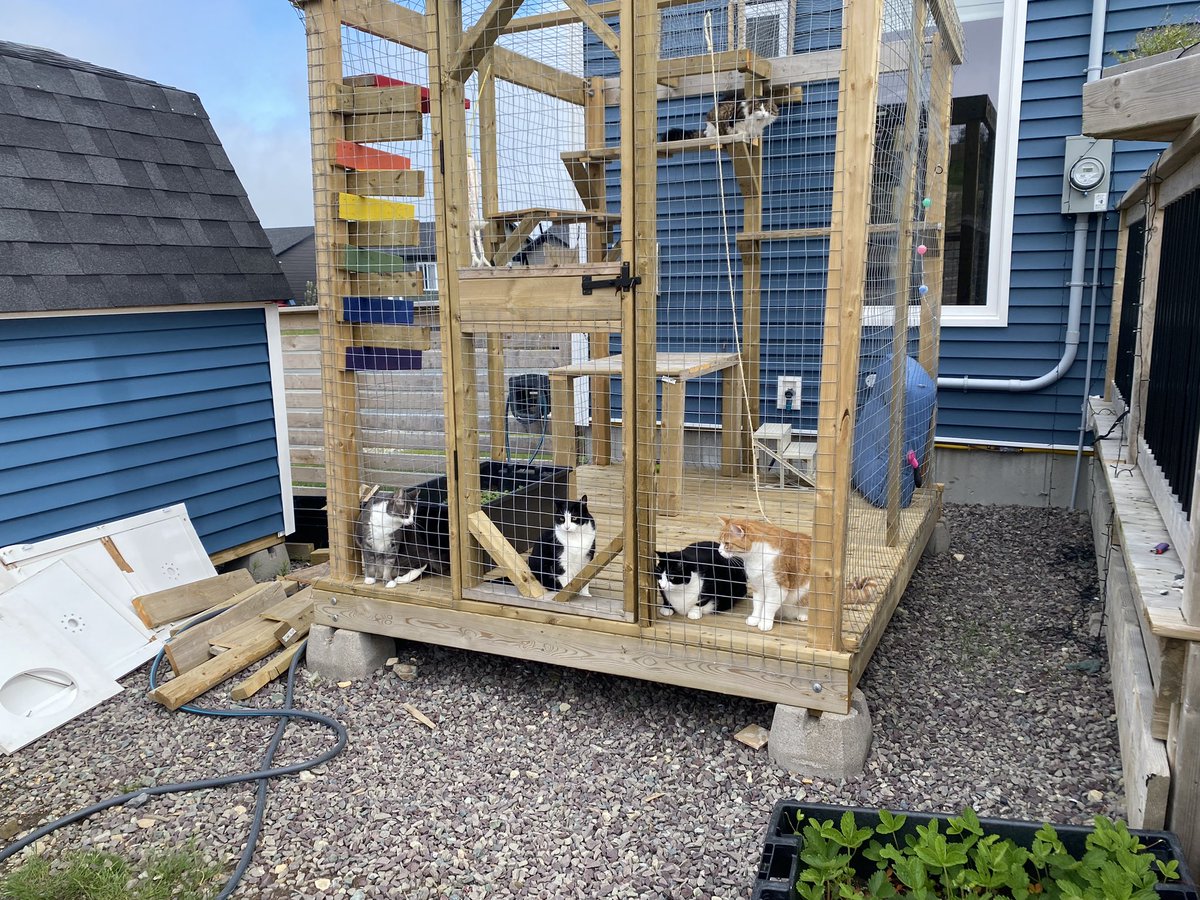 goflyblind's tweet photo. @weskrantz We are clearly not carpenters, but building this catio was definitely my biggest accomplishment for 2022. We learned SO much and the cats absolutely love it. https://t.co/xBMTSaEqTJ