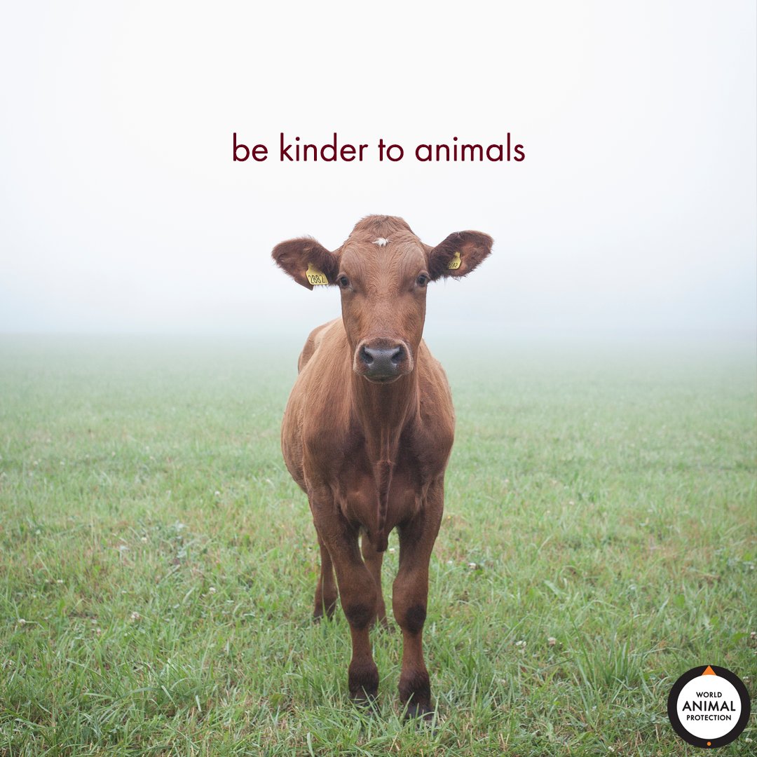 Kindness is free, give it away.