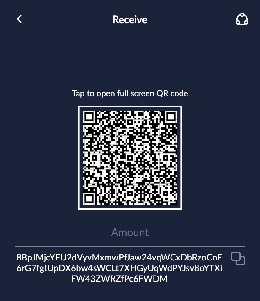 piregler's tweet photo. @cakewallet @MoneroCom @vikrantnyc https://t.co/XBg4He4S3f