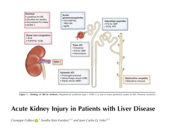 Siddiq Anwar tweet media