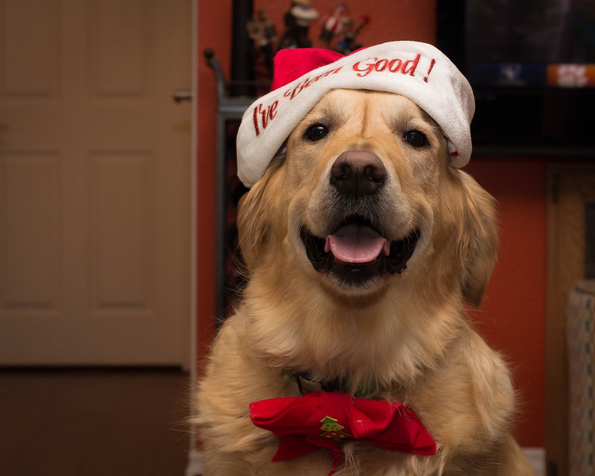 CassLochhead's tweet photo. I’m gonna miss you bud 🥺 #hunter #hunterman 😢 https://t.co/2ZPA6F0GIh