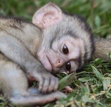 I just fixed my neighbor's sink &amp; nothing happened 💔💔

This lady doesn't watch.... 😭😭😭