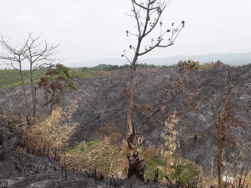 ChtCommission's tweet photo. Attack on Mro #indigenous people in Lama. The recent attack is not the first attack. Previously, on 26 April 2022, Lama Rubber Industries Limited set fire to 100 acres of their Jum plantation. CHTC released a statement at that time: https://t.co/GByc5sy2Yq https://t.co/vvNbWx2Nrd