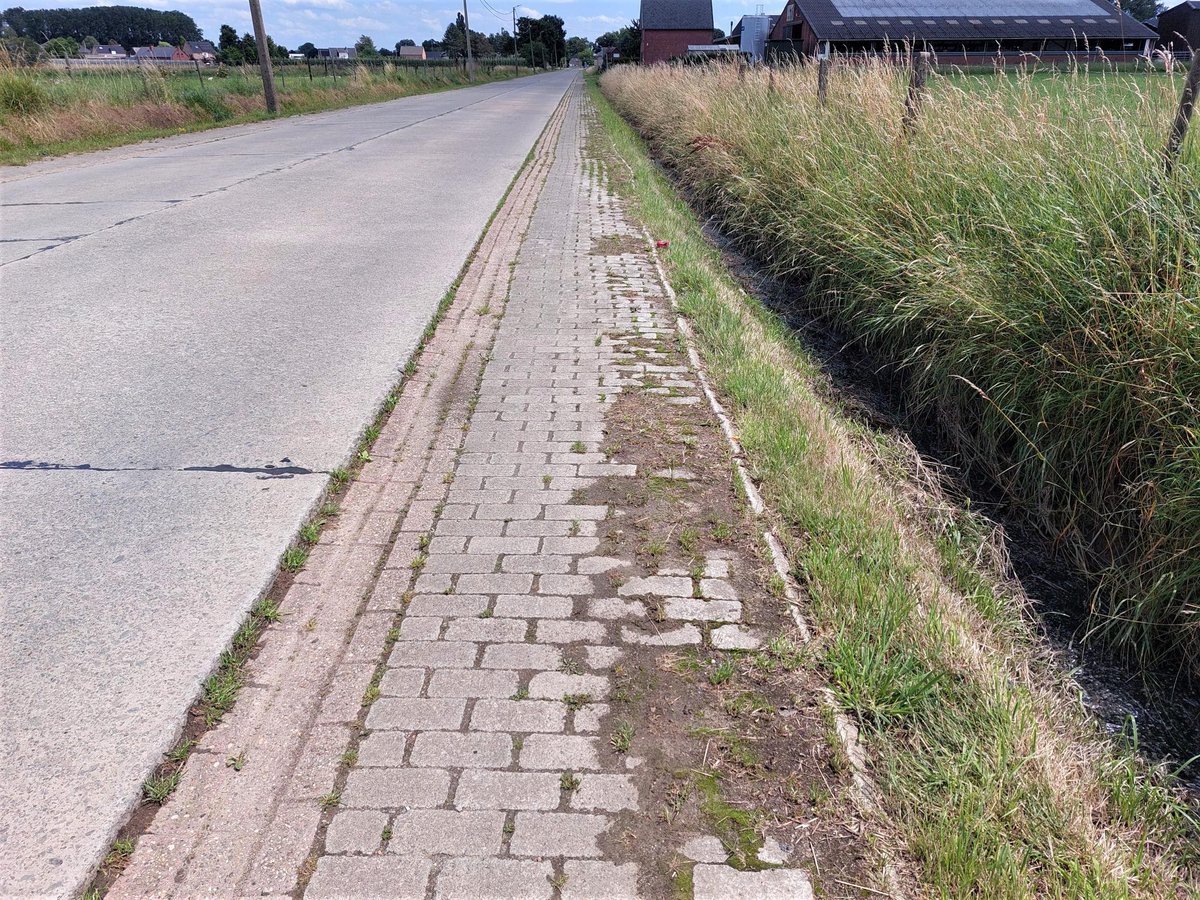 De Standaard tweet media