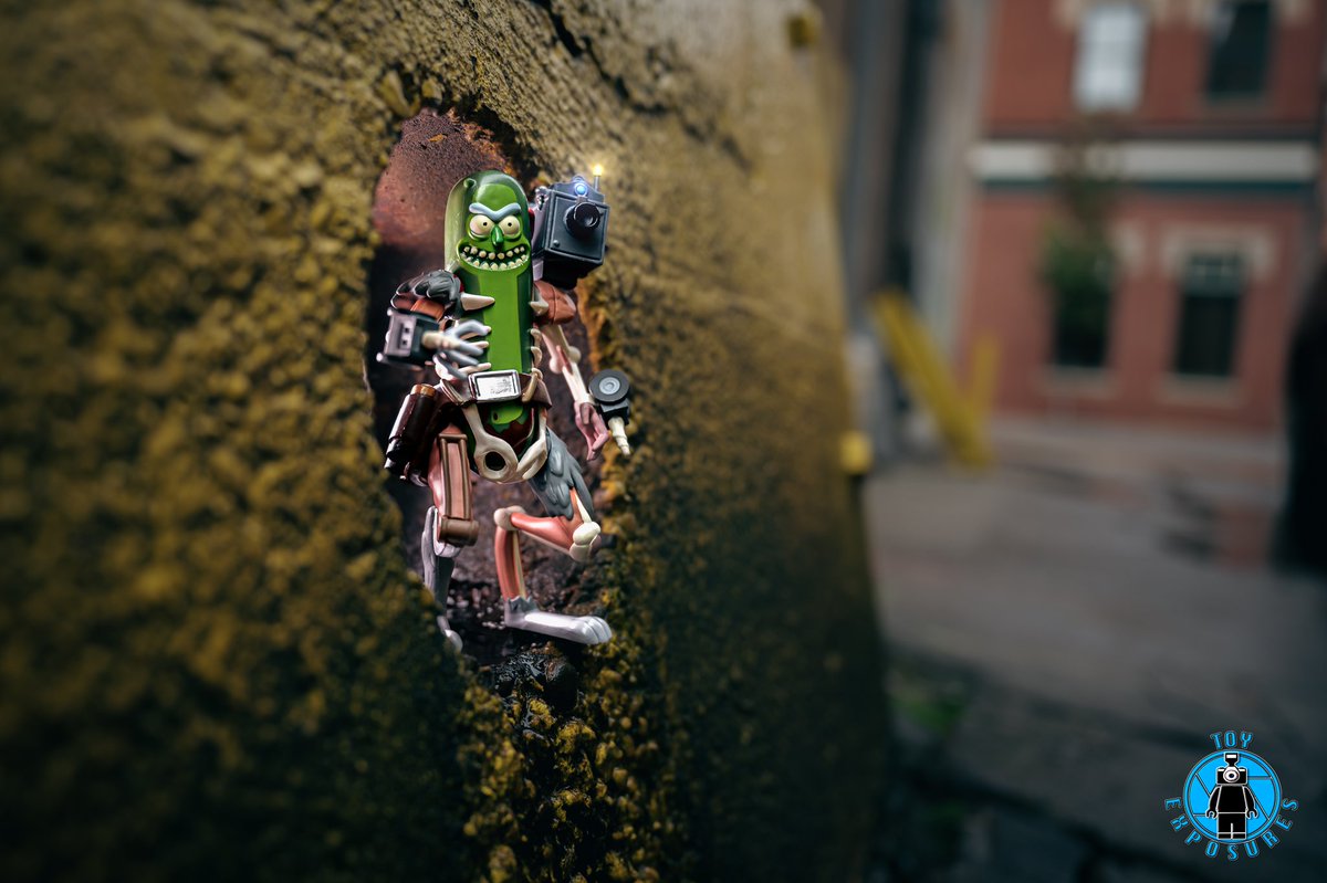 Jeremy Michael Burns (@jeremymichaelb) on Twitter photo My fav pic that I took in 2022 on my page <a href="/ToyExposures/">Toy Exposures</a>
<a href="/RickandMorty/">Rick and Morty</a> #PickleRick #rickandmorty <a href="/adultswim/">adult swim</a> My fav pic that I took in 2022 on my page <a href="/ToyExposures/">Toy Exposures</a>
<a href="/RickandMorty/">Rick and Morty</a> #PickleRick #rickandmorty <a href="/adultswim/">adult swim</a>