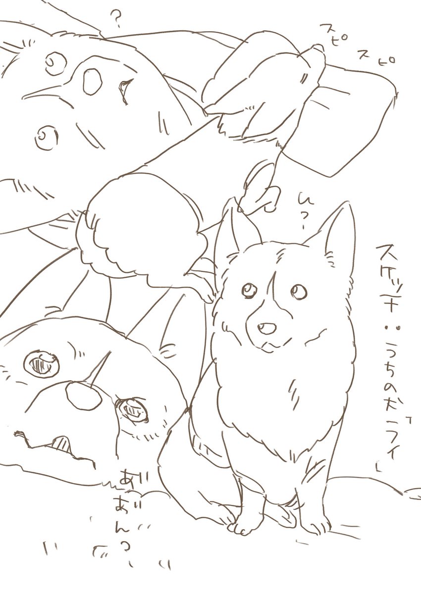 漫画の子ではなく 愛犬ライ 