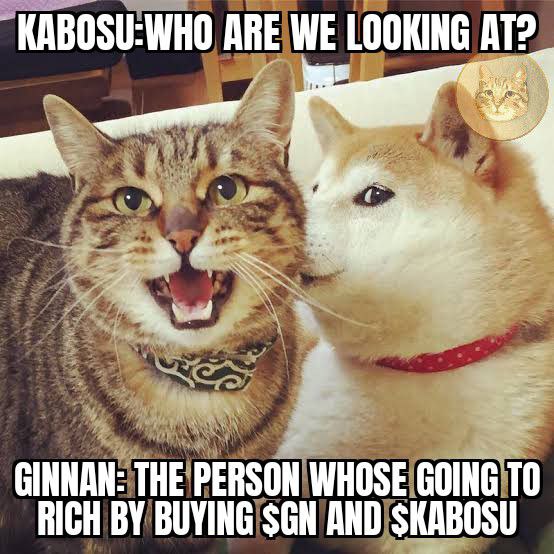 オニ｢おかあさんコイツ誰なんス⁉️🐰🍙｣
ぎん｢Ginnan Neko っつうオレの顔を使ったコインも出来たらしいし oni usaコインも作ってんじゃね⁉️🪙😹｣
オニ｢オモロいんでフォローしといたっス‼️🐰🍙ヘッダーもちゃんと画像盗んでつけとけっス～🐰🍙｣

ウラ｢ちなみにウラーの裏垢ではありません🤣｣