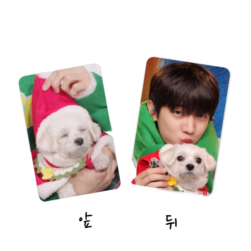 YURI_zzHzzH's tweet photo. 🐱🐶팬콘기념 RT 이벤트

💜댕글&amp;재찬 포카💜

14일 팬콘에서 저랑 만나시는 선착순 7명에게 드리려고 했는데 남아서 더 나눔합니다!!
댕&amp;째 좋아하는 아리라면 참여가능!💕

✨RT추첨 5명
✨14일 팬콘에서 받으실 수 있으신분만!

당발은 1/11 재찬시😆
#DKZ #재찬 https://t.co/Td8O8d16rJ