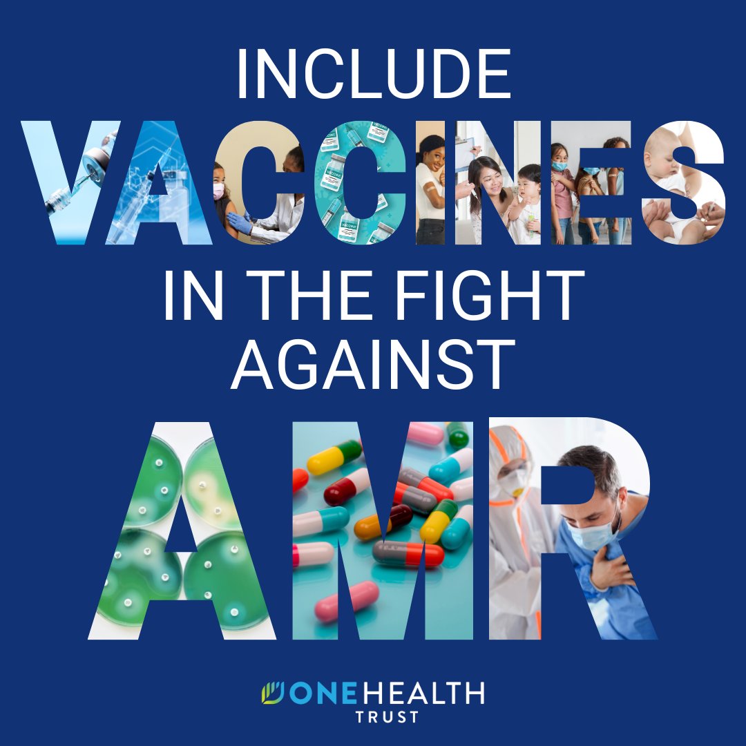 One Health Trust (@onehealthtrust) on Twitter photo 👏 Include vaccines in the fight against drug-resistant #superbugs. 👏
Let's say it louder for the folks in the back.
Learn why in our OWOH #podcast with Dr. David Heymann of <a href="/LSHTM_AMR/">LSHTM AMR Centre</a> <a href="/LSHTM/">London School of Hygiene & Tropical Medicine</a>
Listen here:
onehealthtrust.org/news-media/pod…
#fightamr #amr 👏 Include vaccines in the fight against drug-resistant #superbugs. 👏
Let's say it louder for the folks in the back.
Learn why in our OWOH #podcast with Dr. David Heymann of <a href="/LSHTM_AMR/">LSHTM AMR Centre</a> <a href="/LSHTM/">London School of Hygiene & Tropical Medicine</a>
Listen here:
onehealthtrust.org/news-media/pod…
#fightamr #amr