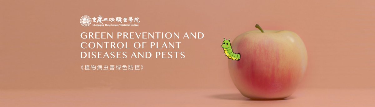 Want to learn about green prevention and control technology for plant diseases and pests? Join us as professors share their knowledge on plant diseases and pests diagnosis and identification, field investigation prediction and forecast...
For more: bit.ly/3Qk7eh6