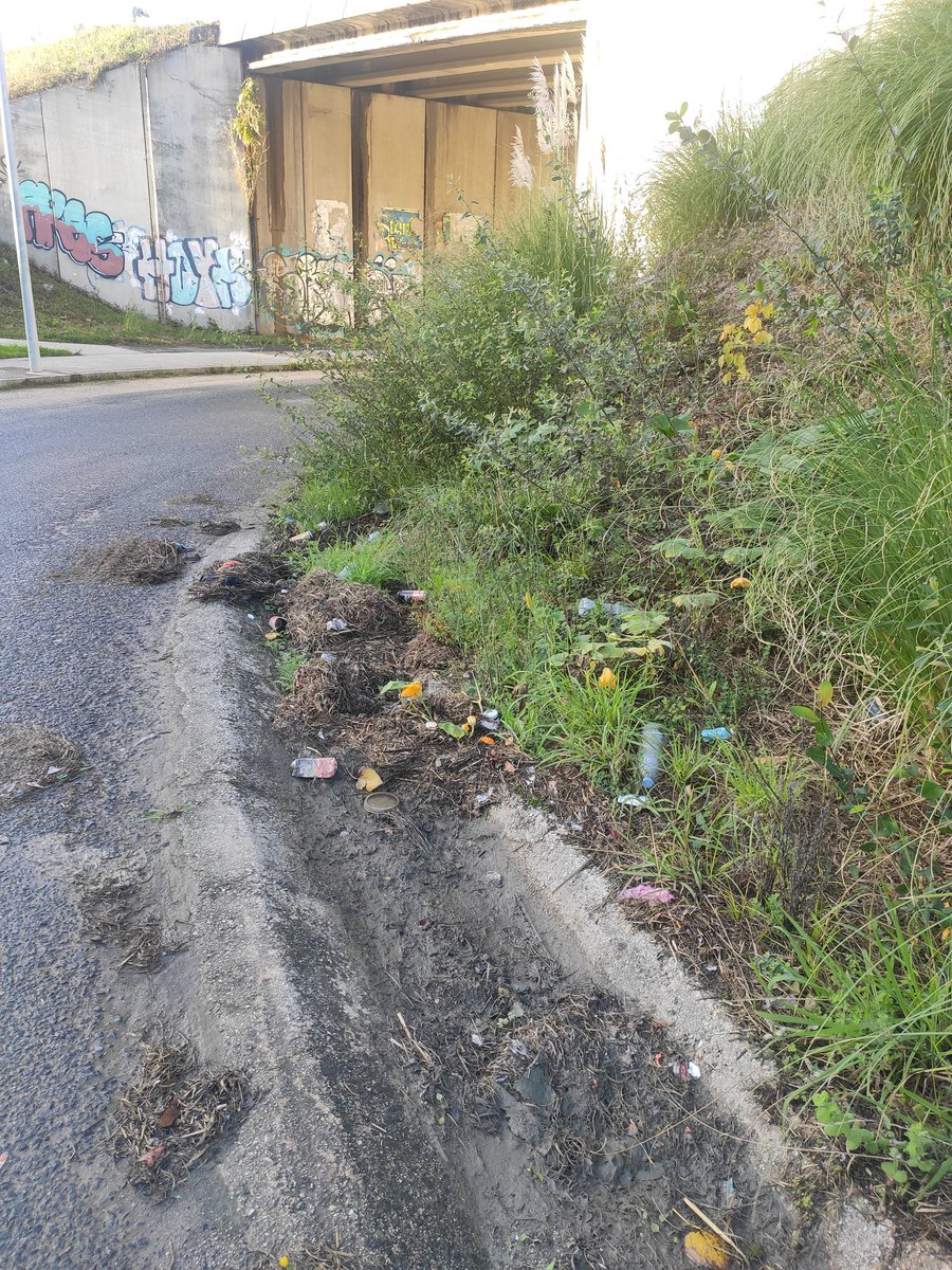 Ceni_lu's tweet image. Y a nosotr@s esperamos q nos traigan un barrendero pal barrio, una máquina xa barrer la vía pública, un contenedor naranja de aceite, un carril bici decente, desbroce de maleza, etc. 
#coruña #someso @sector7_coruna