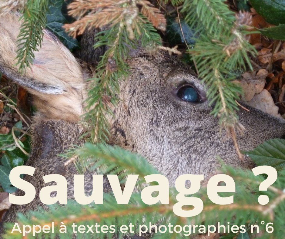 gillesbertin's tweet photo. Le thème de Pourtant n°6 est « Sauvage ? ». 20 pistes à remonter sur https://t.co/6BfSoxrinC 
Nous attendons vos nouvelles, poèmes, photographies, séries.
Sortie été 2023. Dates limites : 15/03 (textes) et 15/04 (photographies) #concoursphoto #appelatextes https://t.co/h52vgAe7fY